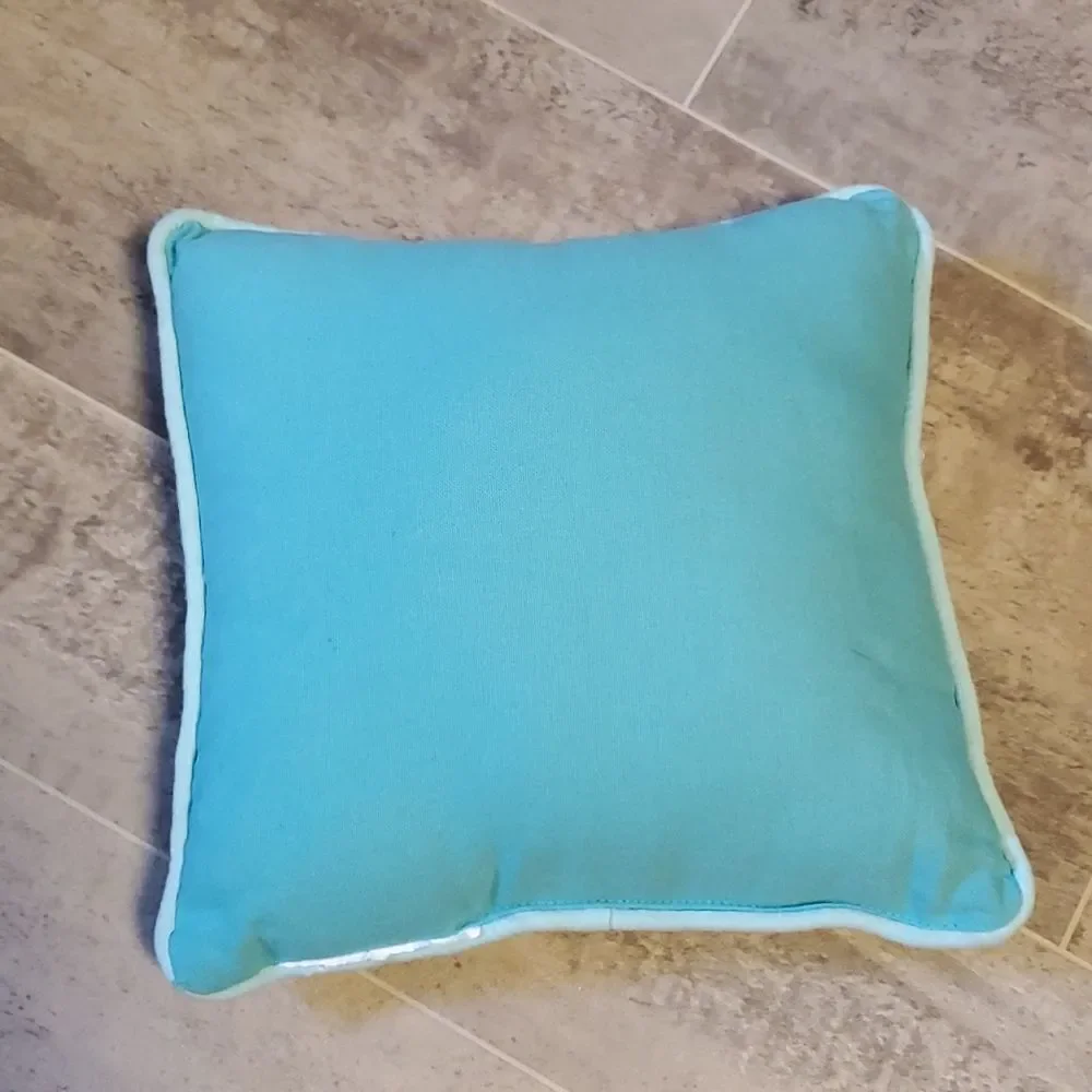 Small Lime & Teal Accent Pillow 